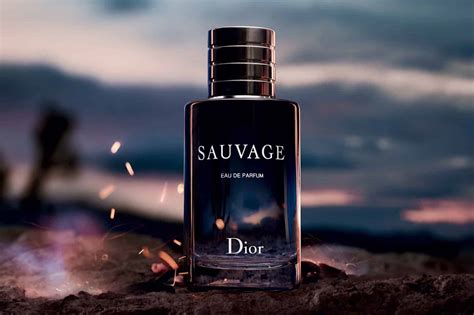 sauvage dior song|sauvage Dior near me.